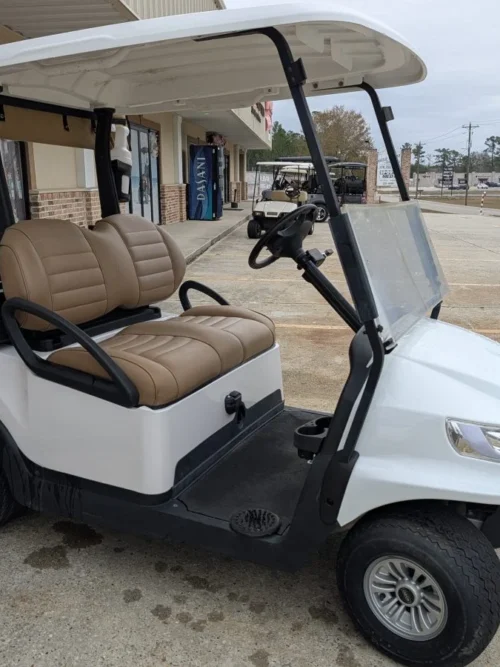 2019 Club Car Phoenix Golf Cart