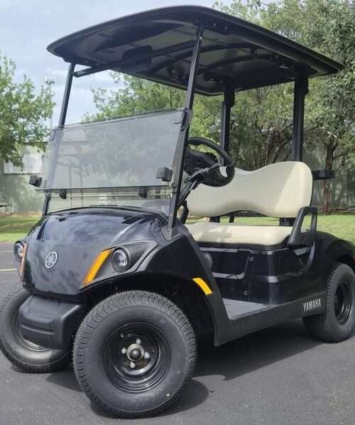 2024 Yamaha Drive 2 48V